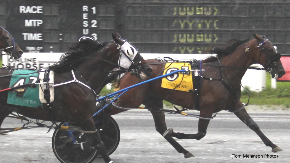 Alluneedisfaith N Stays Unbeaten At Plainridge