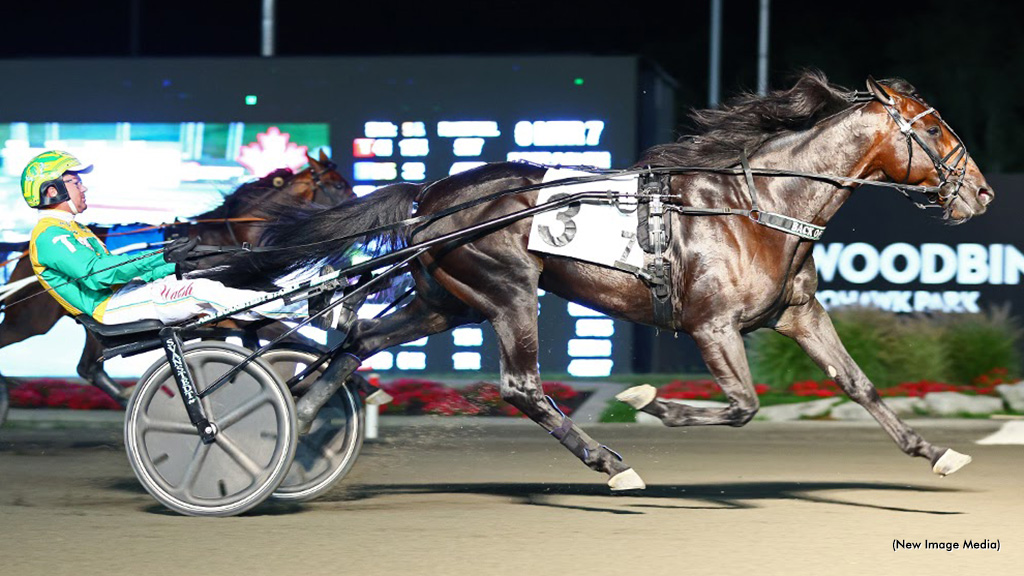 Back Of The Neck Ahead Of The Pack In Maple Leaf Trot Back Of The Neck Ahead Of The Pack In Maple Leaf Trot