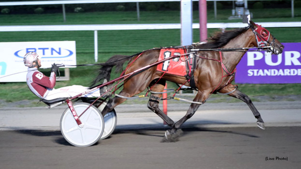 Bongiorno Bags Five Again At 'Big M'