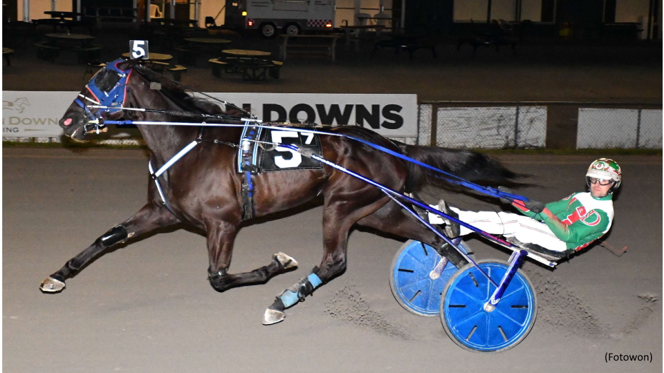 Bird Is The Word At Vernon Downs