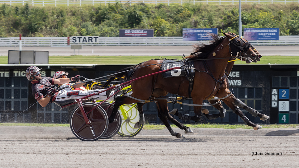 Open Mares Dead-Heat; Milestone For Merriman