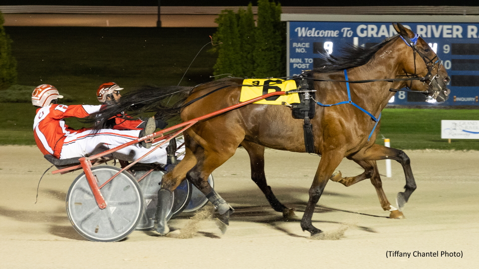 Charmbo Prince Ekes Out Preferred Win