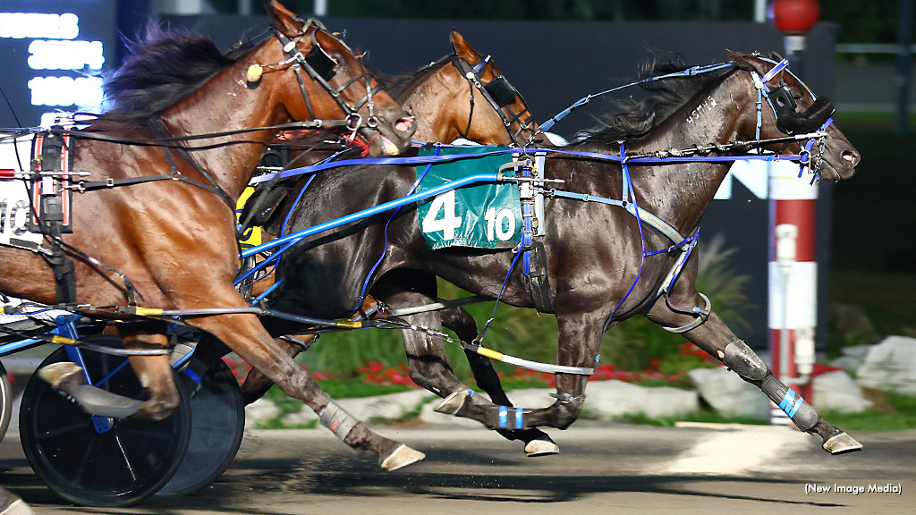 Codename Cigar Box Upsets Mohawk Open Codename Cigar Box Upsets Mohawk Open