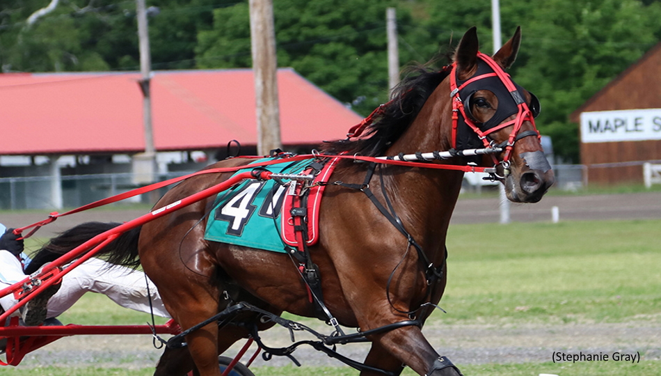 Maine-Bred Sophomores Come To Cumberland