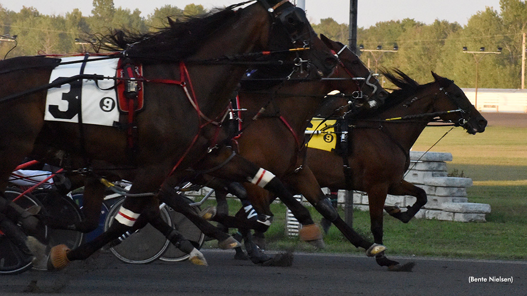 Duke Lavictoire Holds On In Rideau Preferred