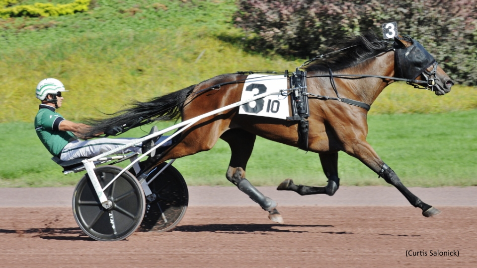 Ebbies Lady Laid Over Them At Pocono