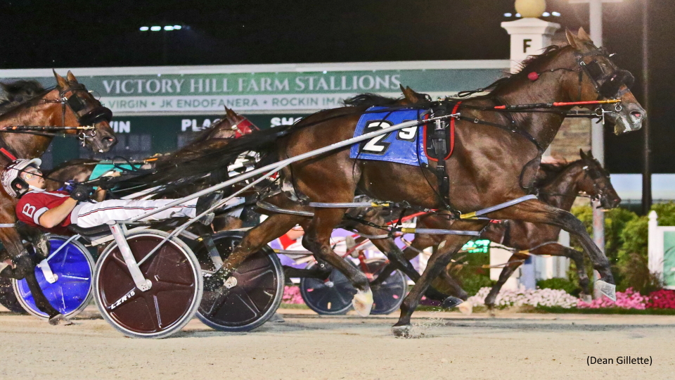 Colts Are All The Rage At Hoosier Park