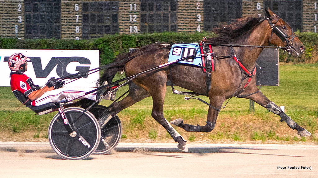 Marvelous Fillies Vie For Stable Spotlight