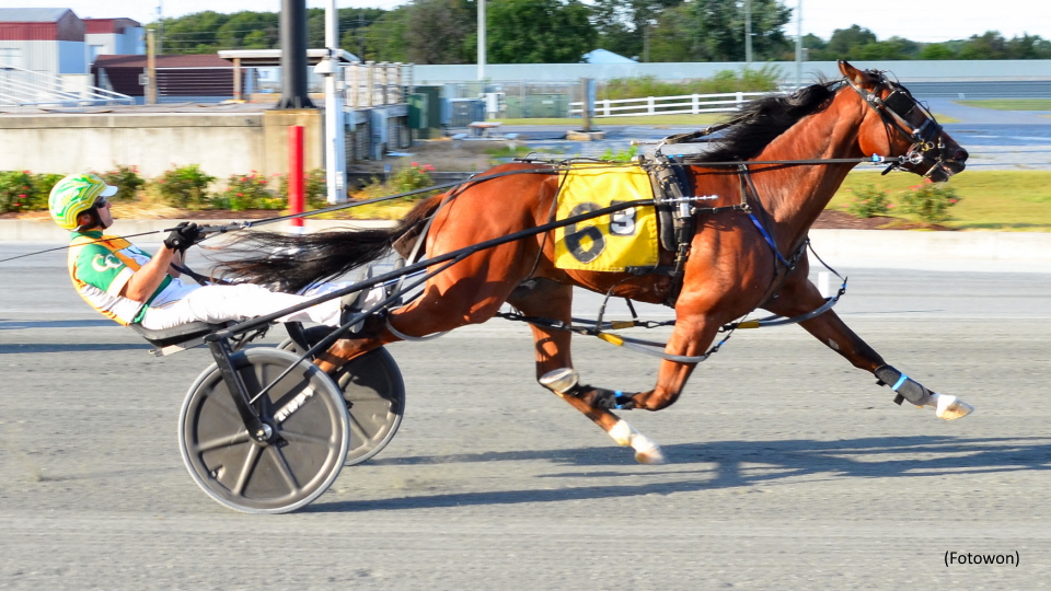 Rookies Impress In Delaware Breeders Fund Splits