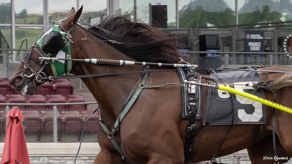 Ginger Tree Coco Fastest In Keystone Classic