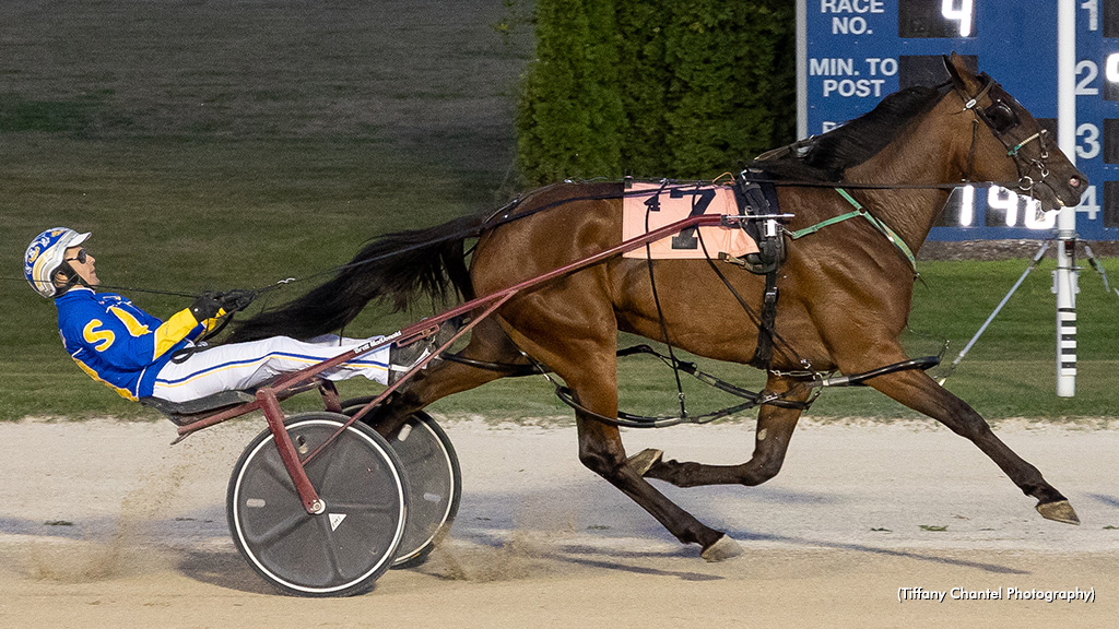 Grandeur Seelster Swiftest In Grassroots