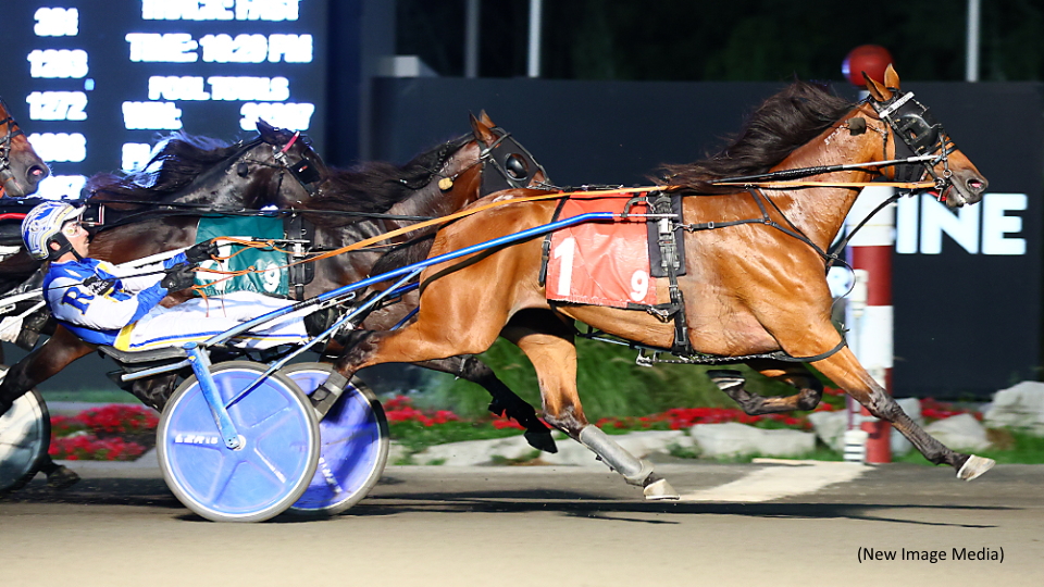 HP Royal Theo Prevails In A Pari-Mutuel Puzzler