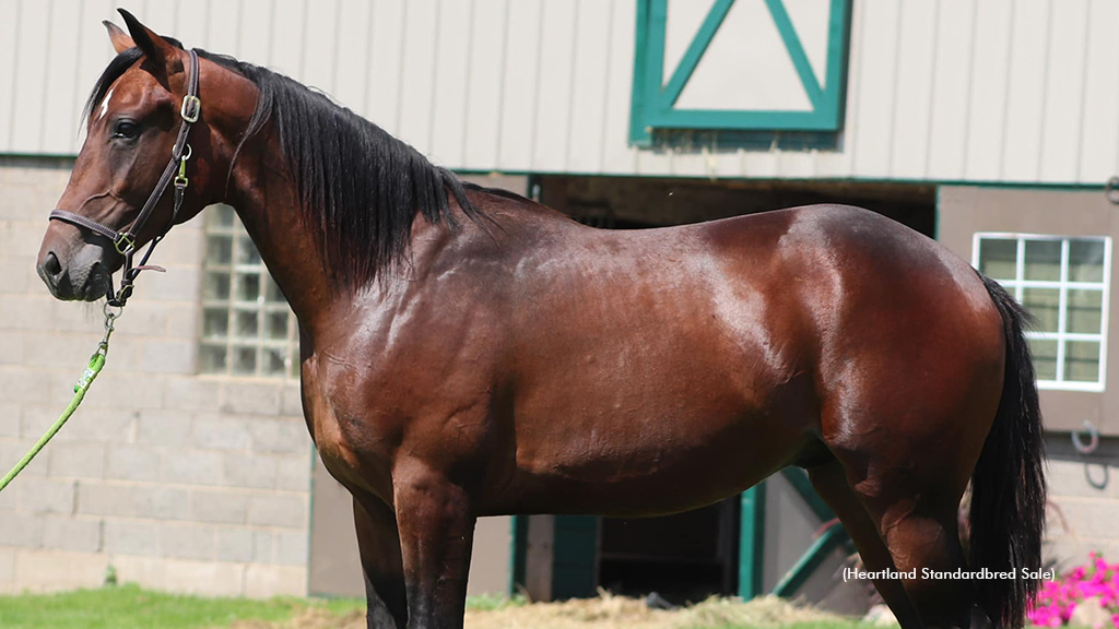 Heartland Standardbred Sale Set For Sept. 20