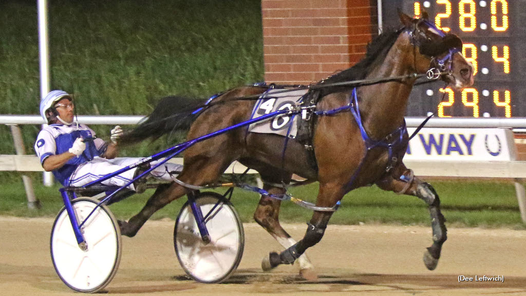 Plano, Im A Skoldier Shine At Aces