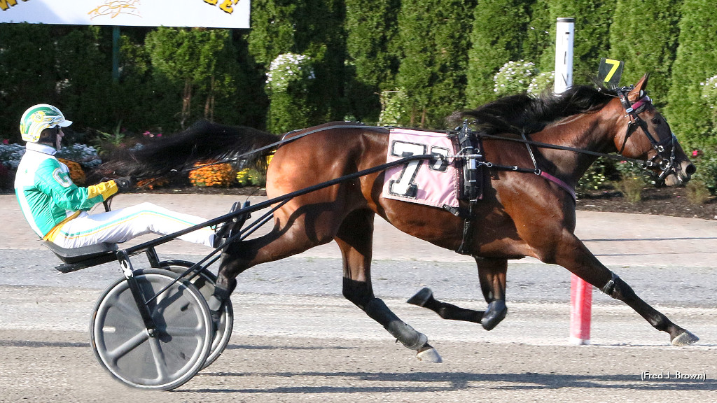 Freshmen Sparkle In Tioga Stakes