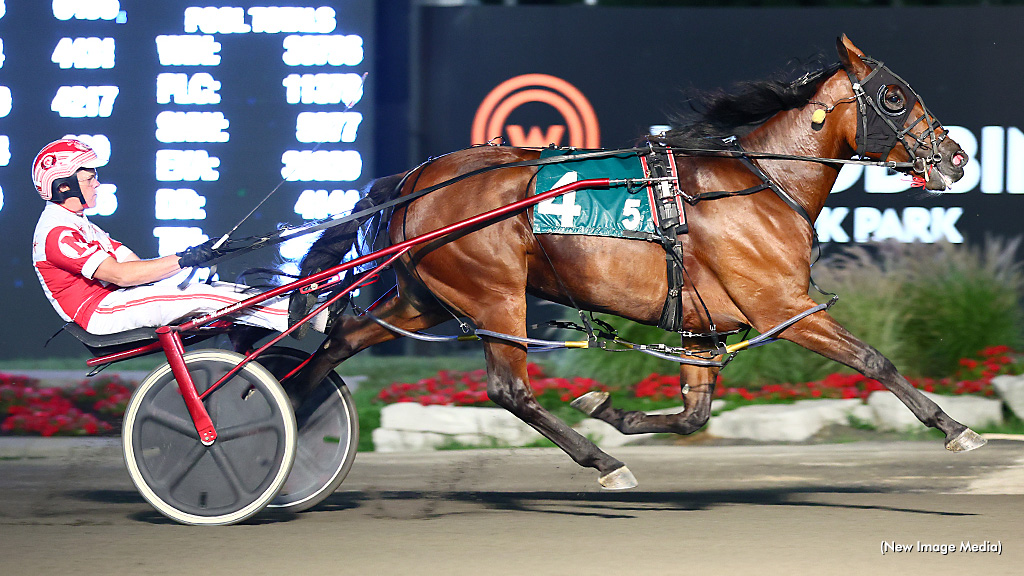 Somebeachsomewhere Connections Strike Again