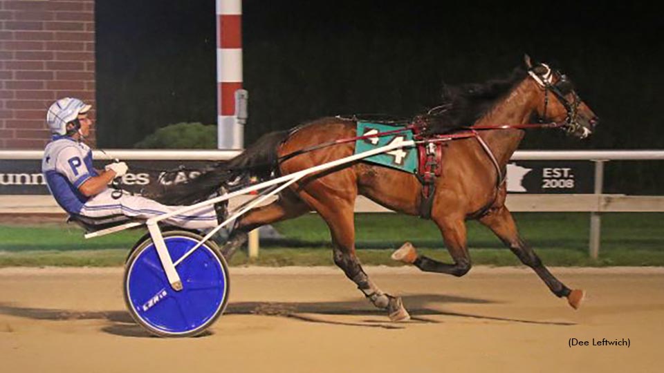Iron Sharpens Iron Named Minnesota Horse Of The Year
