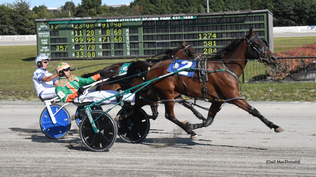 Itsuptoyou Upsets In P.E.I. Colt Stakes 