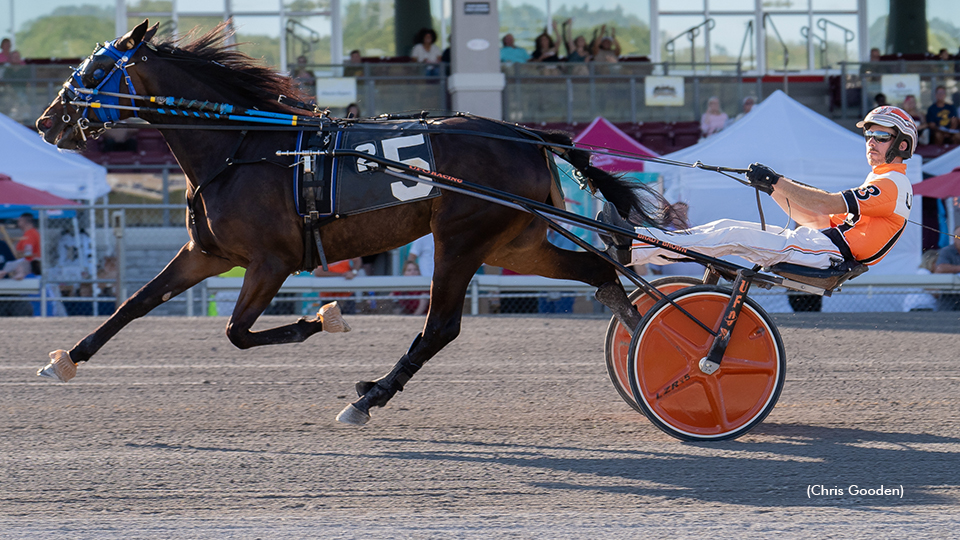 Meadows Series Finals To Jameson N Lime, Biscoe