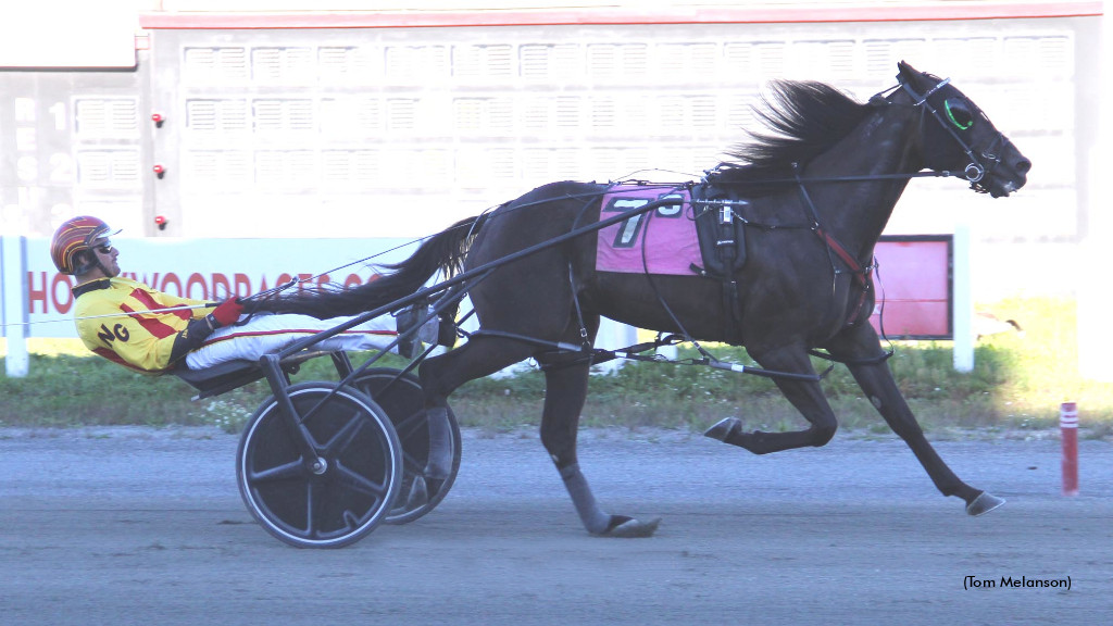 Jimmy Connor B Remains Hot At Plainridge