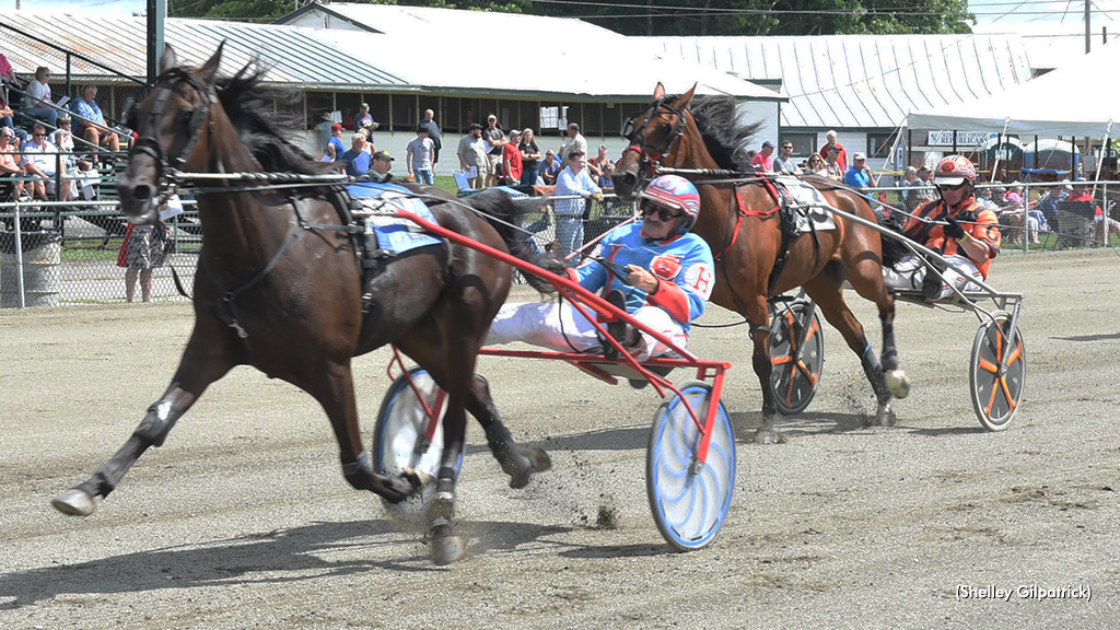 Katahdin Mark Seeks Redemption In Maine Trot