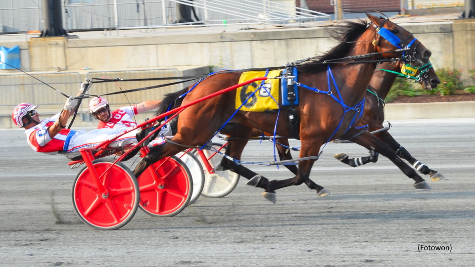 Mack Triumphs In Harrington Open Pace