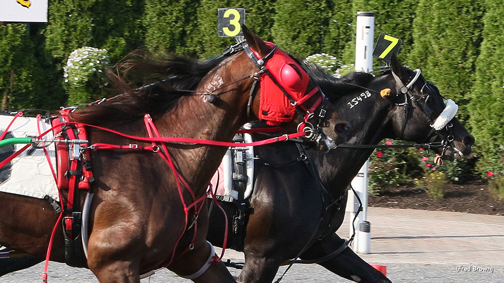 Natameri, Cant Say No Win Tioga Opens