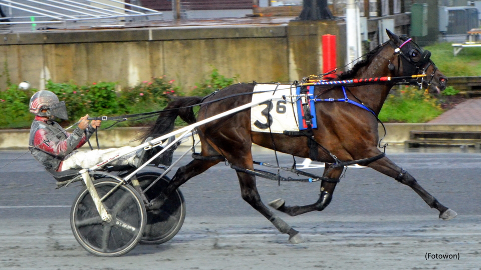 Nikasa N Wins Fifth Straight At Cumberland