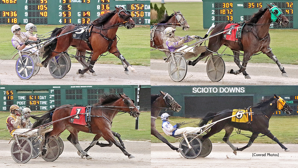 Ohio Sires Stakes Veteran Champions Crowned