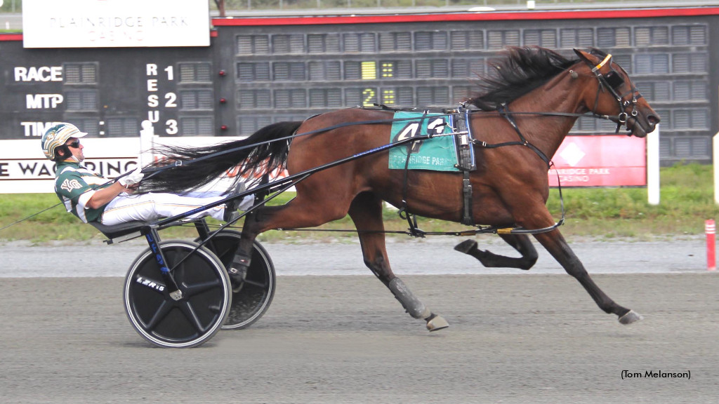 Gingras With Stakes Grand Slam At Plainridge Gingras With Stakes Grand Slam At Plainridge