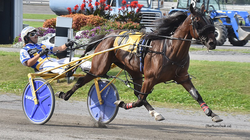 Bombardier Brings Roy Back To 3R