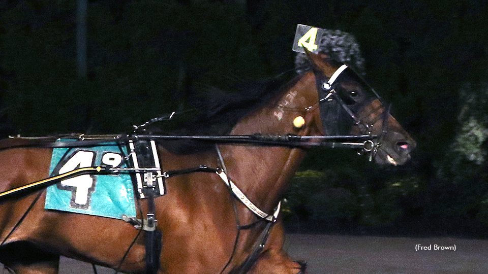 Prairie Westerngal Repeats At Tioga