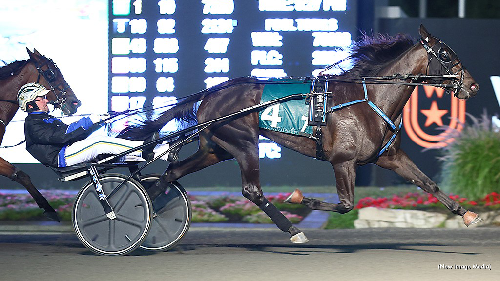 Elegantimage Final To Raised By Lindy