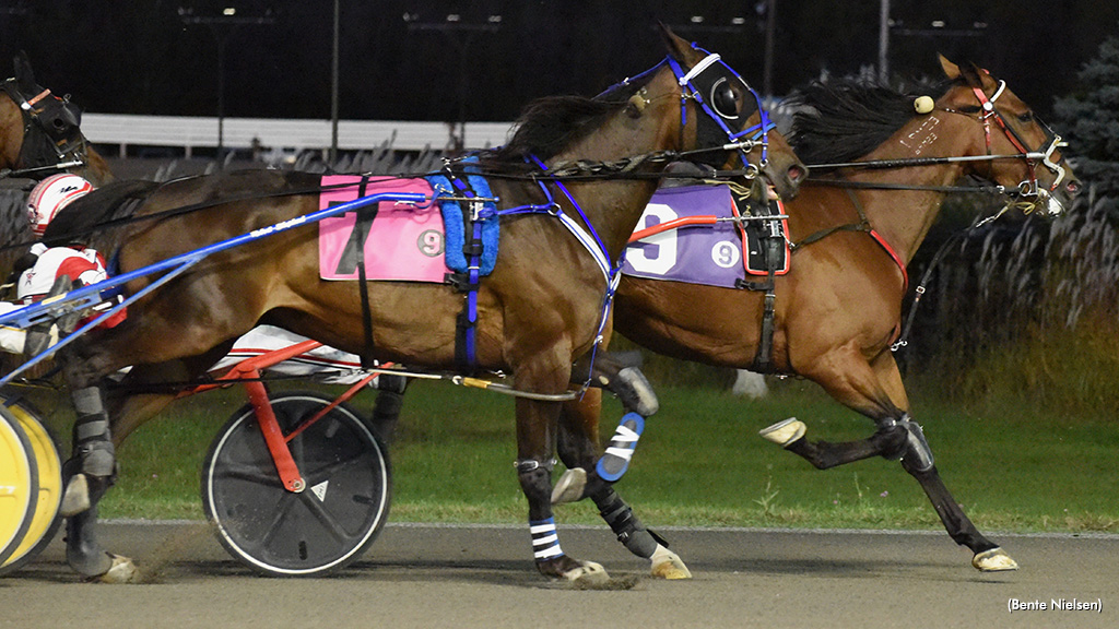 Raising Rusty Rushes At Rideau