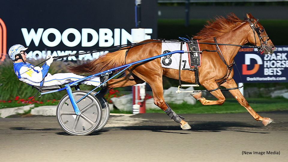 Favourites Sweep Grassroots Divisions At Mohawk Park