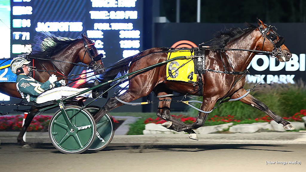 Save America, Tip Top Cat Take Metro Pace Elims