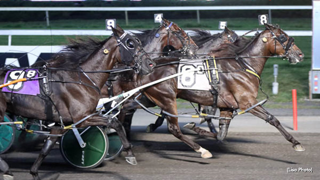 Callahan, Bongiorno Both Bag Five At 'Big M'