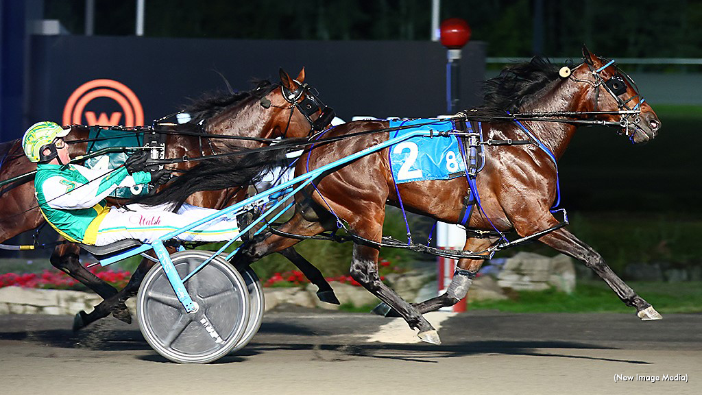 Stockade Seelster Back On Winning Track In Metro