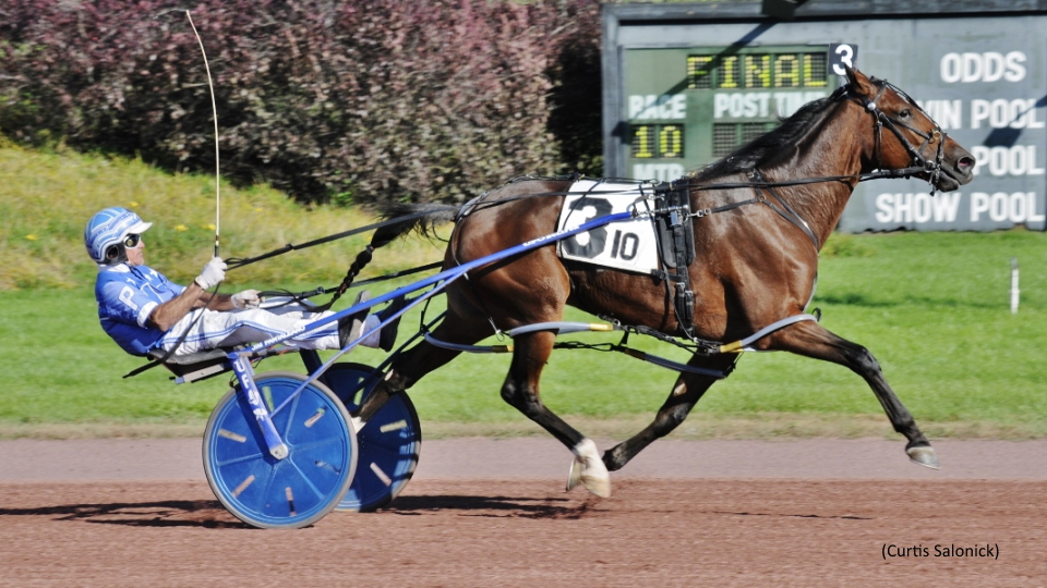 Stonebridge Karis On A Roll At Pocono
