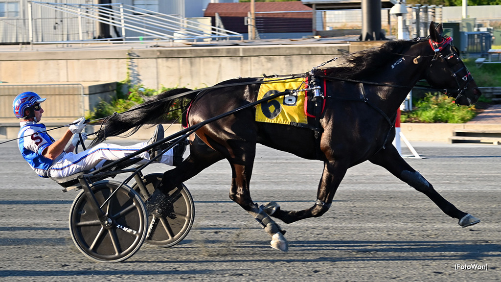 Swan In Motion Scores In Harrington Open