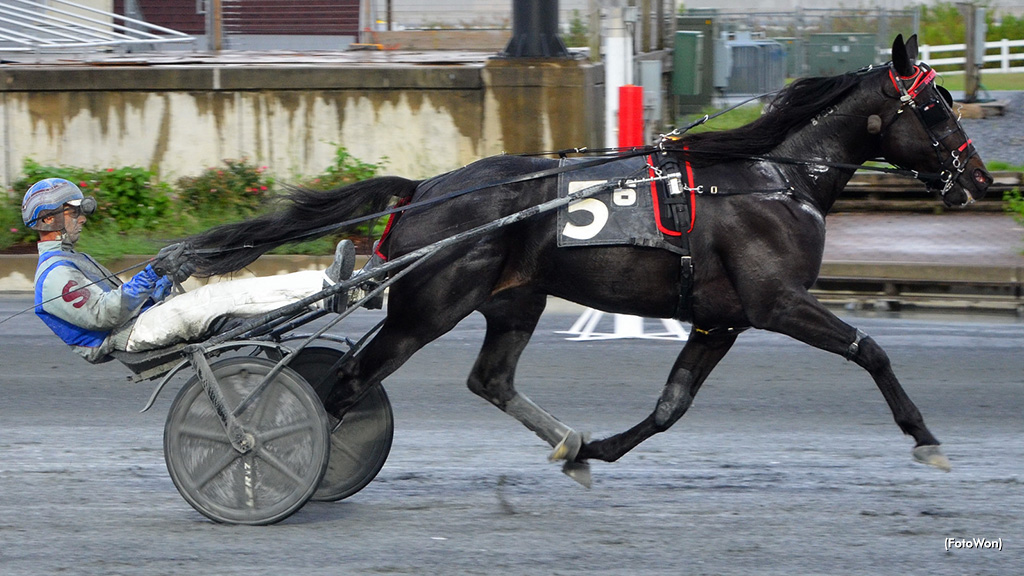 Outside Posts Sharp, Swan In Motion Wins At Harrington