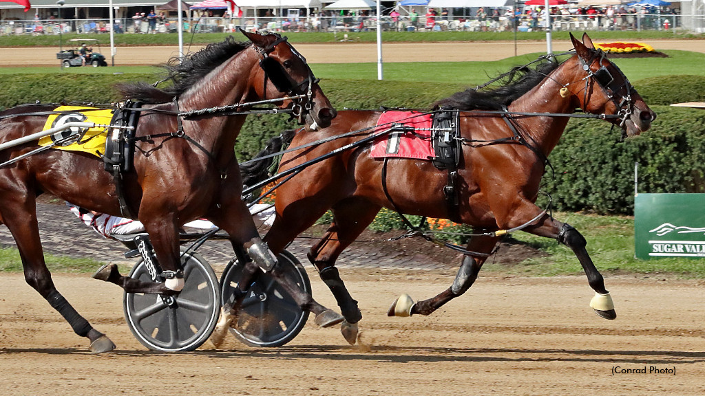 OBCs To Sweet On Pete, Gabbys C Note