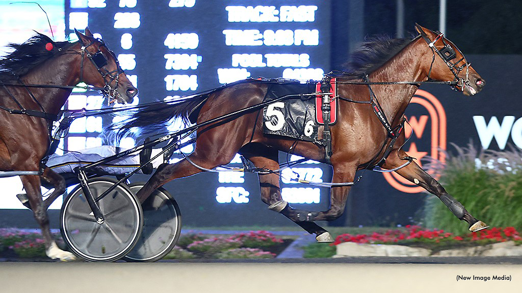 Sylvia Hanover Is The Great Lady