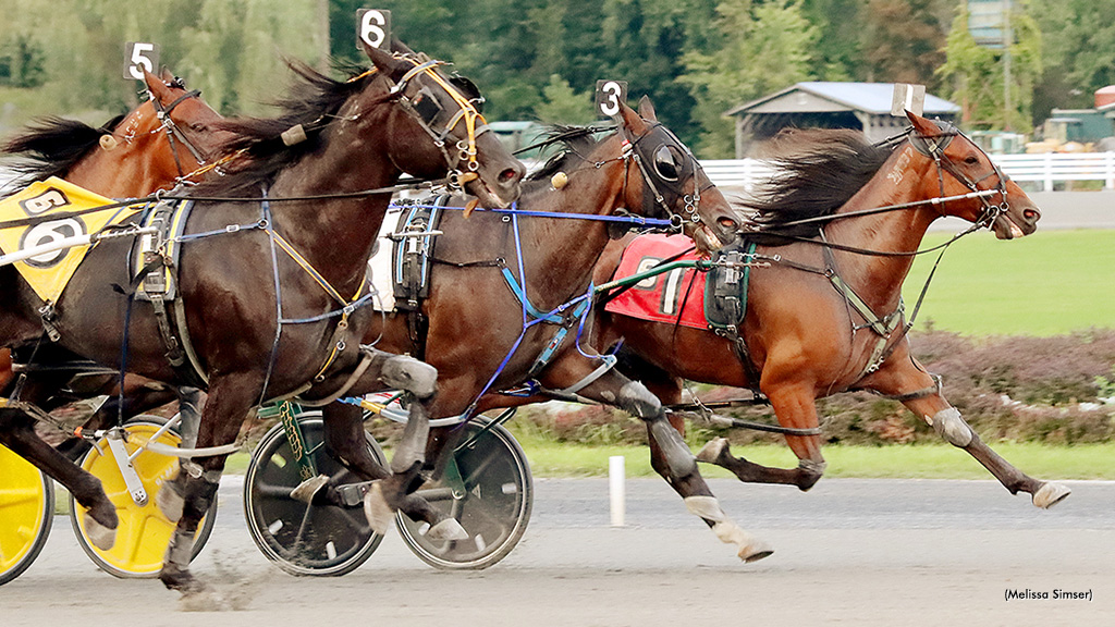 Talking Tom Takes Saratoga Open