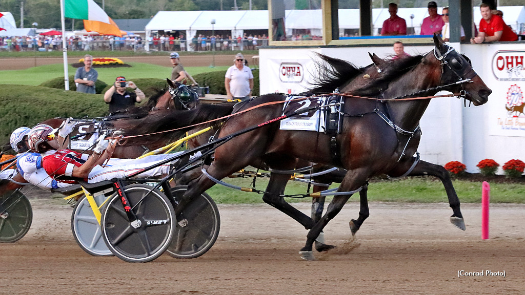 Treacherous Dragon Triumphs In Jugette