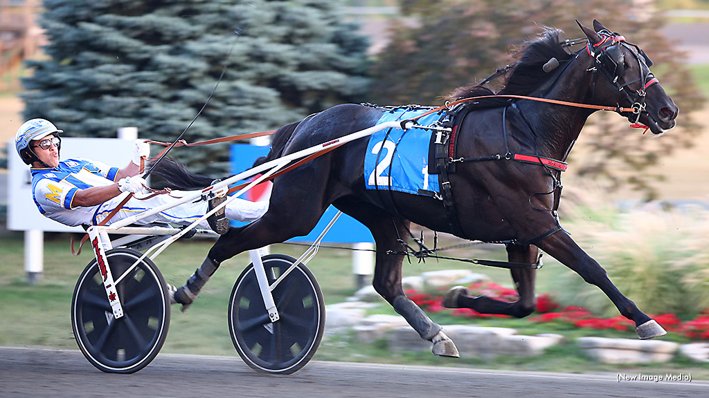 Twin B Archie Takes Simcoe