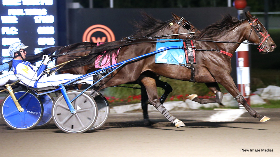 Warrawee Whisper Reunited With Victory Lane