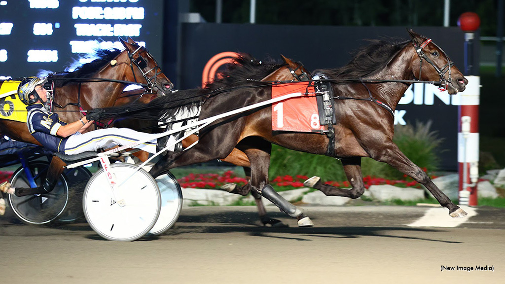 Warrawee Xenia, Monkey Queen Win Simcoe Divisions