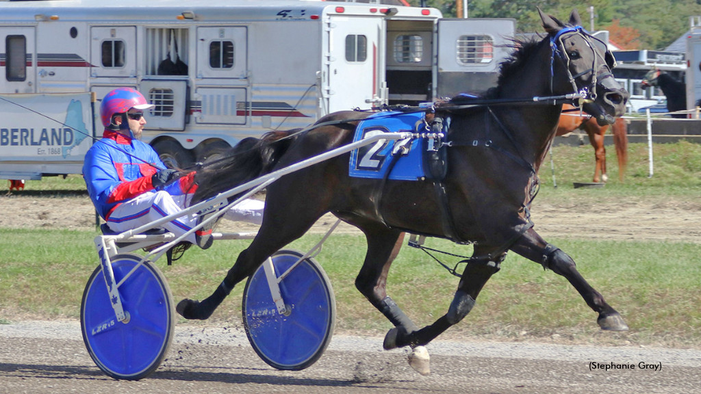 Tardif, Grondin Continue Maine Domination