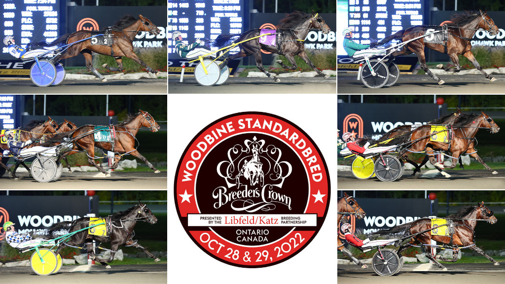 Breeders Crown Fields Set For Two-Year-Olds